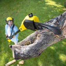 Best Aeration Services  in Country Clu, CA